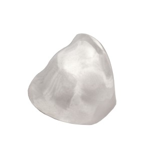 Ασημένιο επιπλατινωμένο δαχτυλίδι Κόκκαλο