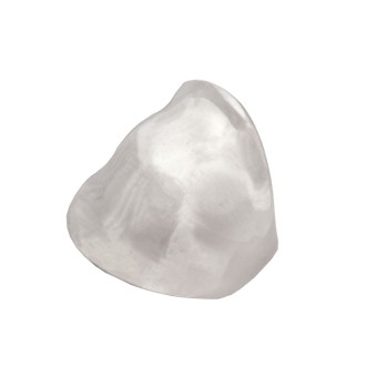 Ασημένιο επιπλατινωμένο δαχτυλίδι Κόκκαλο