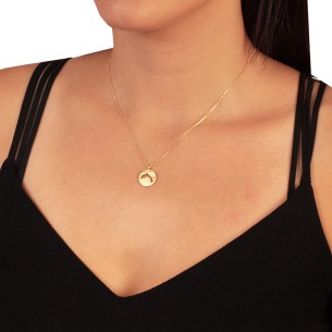 Ασημένιο επίχρυσο κολιέ Κύκλος Δελφίνι