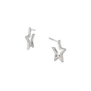 Ασημένια επιπλατινωμένα σκουλαρίκια Αστέρια