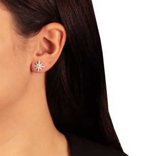 Ασημένια επιπλατινωμένα σκουλαρίκια  Αστέρια